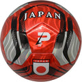 Country Training Soccer Ball: World Edition