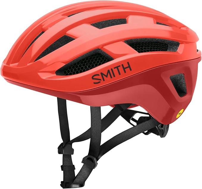 Smith Persist MIPS