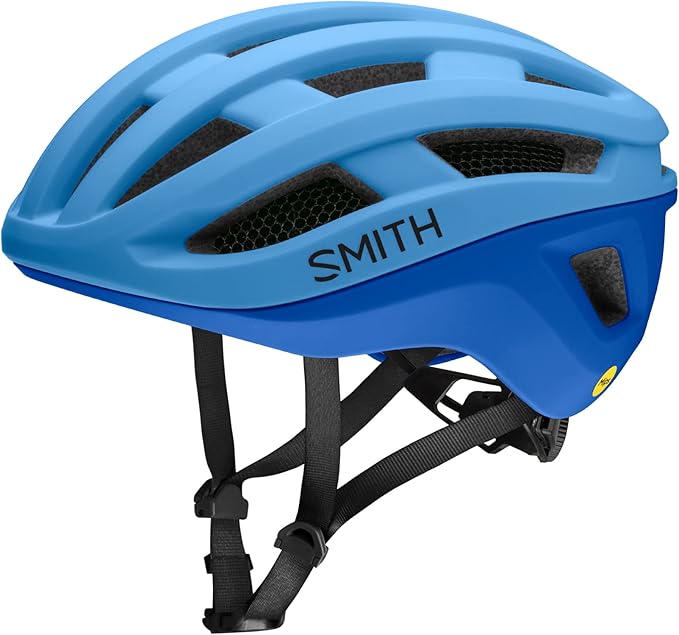 Smith Persist MIPS