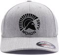 Spartan Warrior Helmet Molon Labe - Come and Take It Custom Embroidered Flex Fitted Baseball Hat