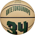 WILSON NBA Player Icon Basketballs - Size 3 and Size 7
