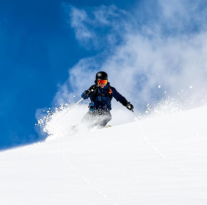Wolf | Mountain Lion Ski Pole Baskets