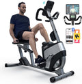 HARISON Magnetic Recumbent Exercise Bike, Recumbent bikes for Adult and Seniors, Recumbent Exercise bike for Home 350 lbs Capacity