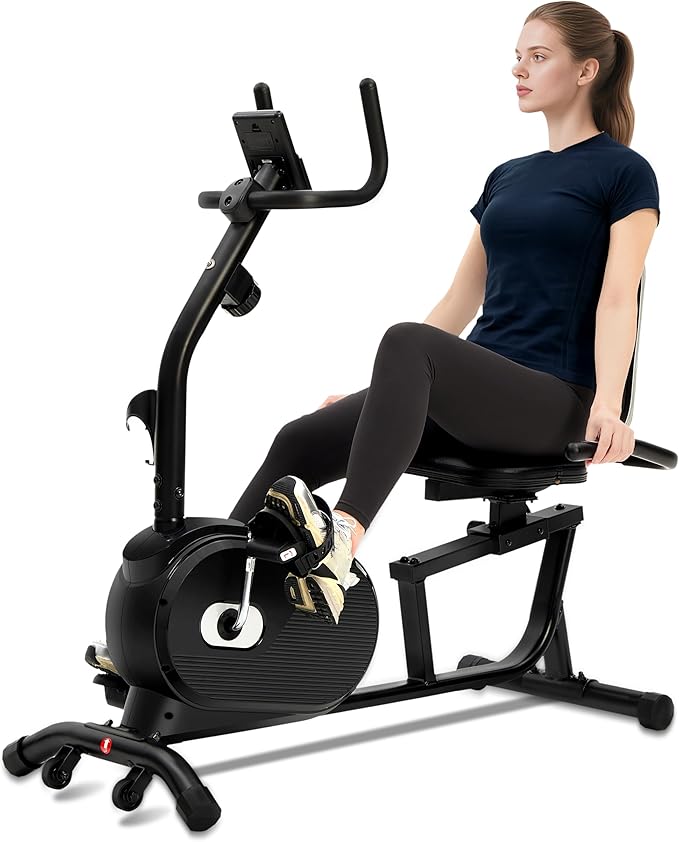 ECHANFIT Recumbent Exercise Bike for Home - 380LBS Weight Capacity, Exercise Bike with Smart Workout APP, 16-Level Magnetic Resistance, Backlit Display, Comfortable Seat