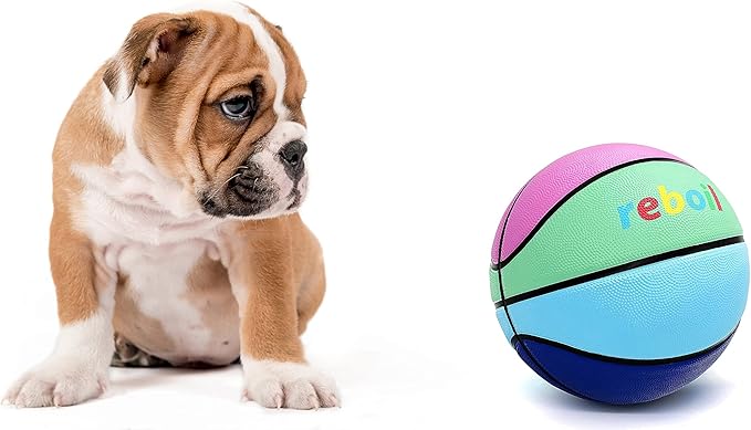 Premium Rubber/Leather Basketball - Kids & Youth, Size 3/4/5/6/7