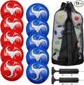 Libima 13 Pcs Soccer Ball Bulk 10 Pcs Official Soccer Ball with 2 Pump and Carry Bag Indoor Outdoor Training Game Sport Gift for Youth Adult Back to School