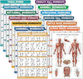 Palace Learning 14 Pack - Exercise Poster Set: Dumbbell, Suspension, Kettlebell, Resistance Bands, Stretching, Muscular, Medicine Ball, Battle Rope, Bodyweight, Barbell, Yoga, Exercise Ball